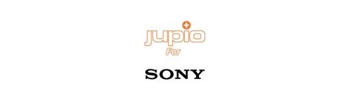GRIP SONY GRIP SONY