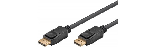 DisplayPort DisplayPort