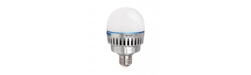 PAVOBULB PAVOBULB