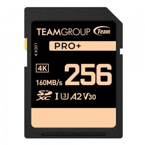 TEAM GROUP SDXC UHS-I U3 V30 256Gb 